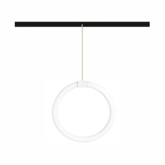 Sospensione LED per binario magnetico 19W 48V 3000K grigio IP20 Circle BENEITO FAURE 5431