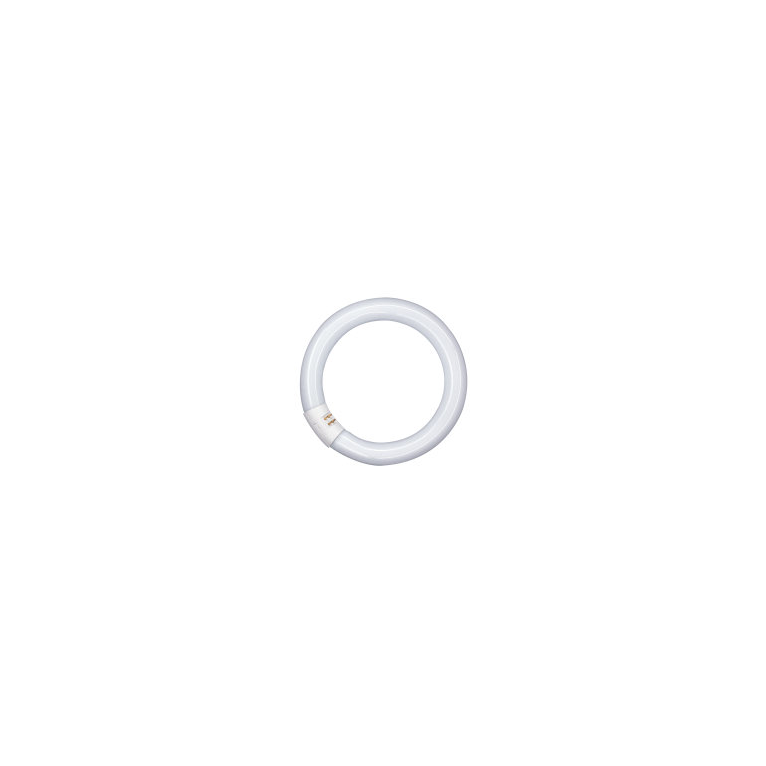circolina neon t9 c 32w luce naturale 840