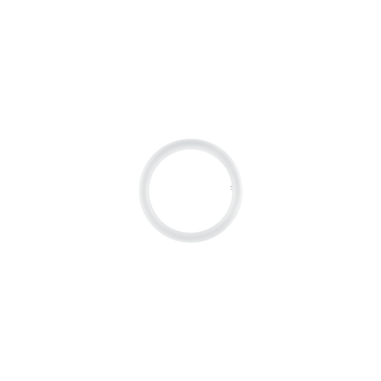 circolina led t9 20w luce fredda diametro 298mm in vetro