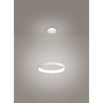 Lampadario ANELLI DIODI 35W luce calda 3200K AFFRALUX bianco piccolo 1 anello