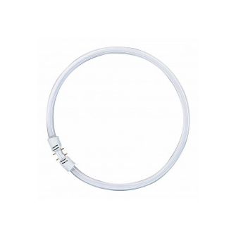 Circolina neon T5 FC luce calda 830 55W