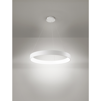 Lampadario BAND DIODI 136W luce calda 3200K AFFRALUX bianco XL