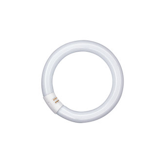 Circolina neon Osram T9 C 22W luce naturale 840