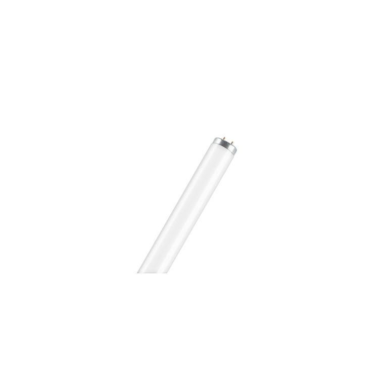 tubo neon osram sa t12 65w luce naturale 640