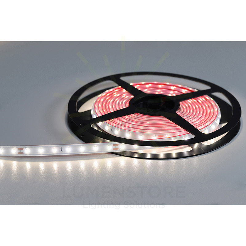 striscia led smd2835 14.4w/m 4000k 24v 5mt gealed gst153n ip66