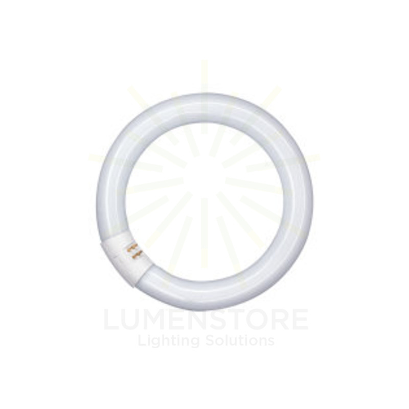 circolina neon t9 c 32w luce naturale 840