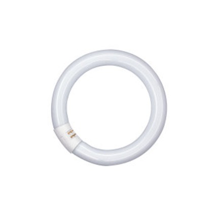 circolina neon osram t9 c 22w luce naturale 840