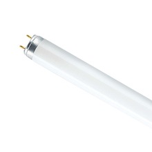 tubo neon t8 58w luce fredda