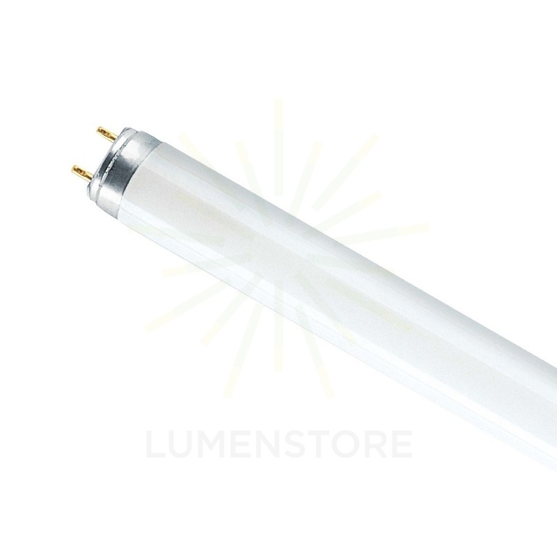 tubo neon t8 36w luce fredda