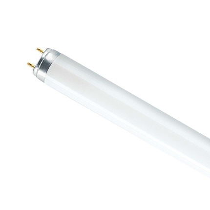 tubo neon t8 58w luce naturale